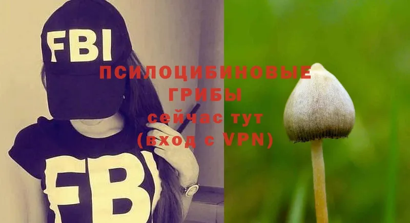 Галлюциногенные грибы Magic Shrooms  Заполярный 