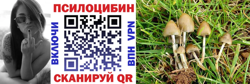 Псилоцибиновые грибы Psilocybine cubensis  kraken онион  Заполярный 